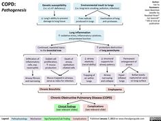 a flow diagram showing the stages of copp and lungphoseness in children