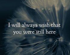 a dandelion with the words i will always wish that you were still here