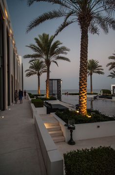 palm trees line the side of a building at dusk