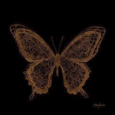 a brown butterfly with intricate lace on it's wings is shown in the dark