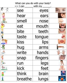 a poster with words describing different types of teeth