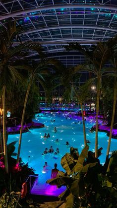 an indoor swimming pool surrounded by palm trees and other greenery at night time with lights on the ceiling