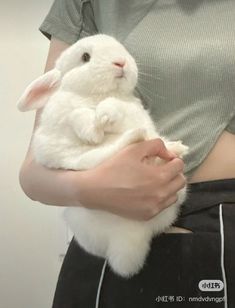 a woman holding a white rabbit in her hands