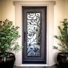 an iron door with potted plants on the side