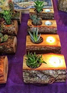 several candles are lit on wood logs with succulents and cacti