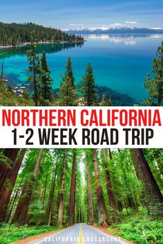 photo of Lake Tahoe landscape and photo of the trees surrounding the avenue of the giants on highway 101. text reads Northern California 1-2 week road trip California Itinerary, Road Trip Stops, Northern California Coast, Volcanic Landscape