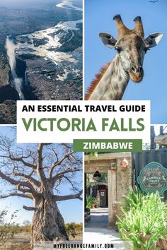 The best places to visit in Victoria Falls including the falls, the bottle trees, Zambesi river restaurant and the wildlife. Victoria Falls Africa, South Africa Vacation, African Vacation, Botswana Travel, Victoria Falls Zimbabwe, Cape Town Travel, Foreign Travel, African Travel, Victoria Falls