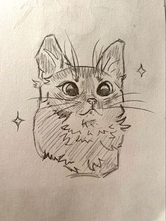 a pencil drawing of a cat's face with stars around its eyes and nose