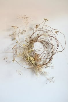 dried flowers on a white surface with no one in the photo looking at them as if they were dying