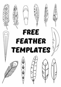 a collection of feathers with the words free feather templates in black on a white background