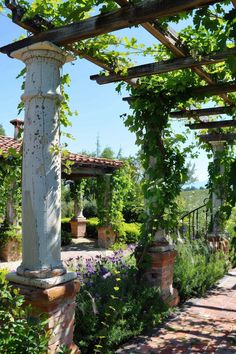 an outdoor garden with vines and flowers growing on the side of it's pillars