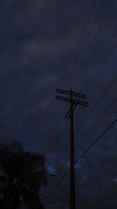 telephone poles and power lines at night time