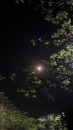 the street light is shining brightly in the dark night sky above some trees and bushes