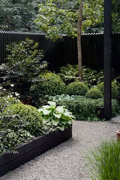 a garden with lots of trees and plants in it's center area, surrounded by gravel