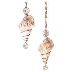 two seashells hanging from chains on a white background