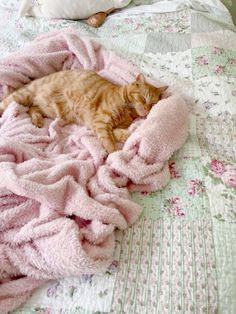 an orange cat laying on top of a bed covered in pink blankets next to a stuffed animal