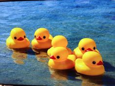 five yellow rubber ducks sitting in the water on top of a blue surface with one ducky looking at the camera