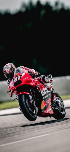 Pedro Acosta, Red Bull GasGas Tech3, Austrian Grand Prix 2024, MotoGP Wallpaper Austrian Grand Prix, Motor Bikes