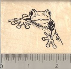 a rubber stamp with a frog on it's side and a ruler next to it