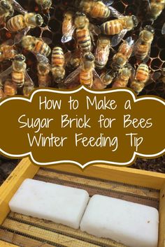 how to make a sugar brick for bees winter feeding tip