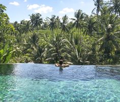 a person is swimming in a pool surrounded by palm trees and greenery on a sunny day