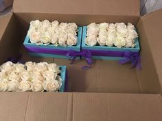 two blue boxes with white roses in them