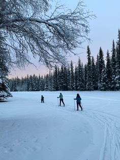 three people cross country skiing in the snow