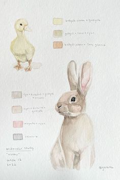 a watercolor drawing of a rabbit and a duck next to eachother's colors