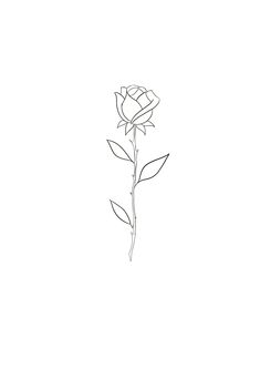 the outline of a single rose is shown in black and white on a plain background