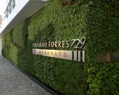 a green wall that has plants growing on it and the words mayo torres 929