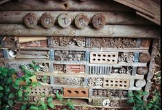 a bunch of beehives that are on a wooden structure in the woods with some plants around them