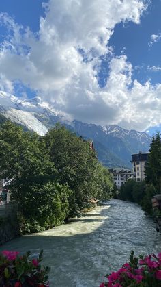 a river running through a lush green forest filled with lots of flowers and buildings in the background