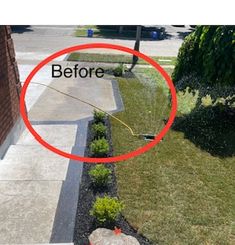 a red fire hydrant sitting on top of a sidewalk next to a lush green yard