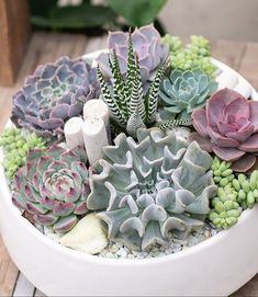 there are many succulents in the bowl on the table