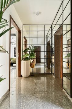 a large plant in a white vase on the floor next to an open glass door