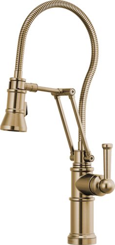 a kitchen faucet with a goose head and hose attached to the side of it