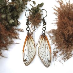 Genuine Cicada Wing Dangles. No Cicadas Were Harmed In The Making Of These Earrings. Laminated. Bronzed Hardware. Handmade. Approx. W A Little Over .5” L 2.25” Vintage Gypsy Boho Style #Winnfritt Jewelry Trendy Bohemian Hippie Tribal Spiritual Mystical Ethnic Wiccan Grunge Witch Wicca Rustic Healing Zen Serenity Peace Calming Hand Made Handcrafted Hand Crafted Teen Womens Jewelry Insect Wings Cicada Locust Nature Natural Earthy Real Insect Wings Fairy Wings Crowcore Jewelry, Crowcore Trinkets, Forest Accessories, Cicada Earrings, Shifting Closet, Grunge Witch, Wings Fairy, Light Fairy, Insect Wings