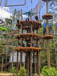 people are on the ropes in an obstacle course