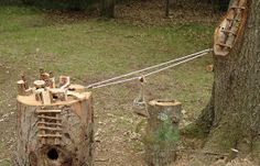 a tree stump that has been cut down and tied to a rope