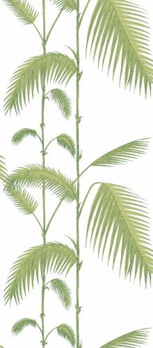 a drawing of a palm tree with green leaves