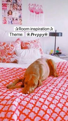 a large brown dog laying on top of a bed