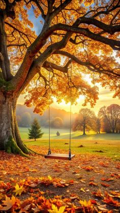 a swing hanging from a tree with autumn leaves on the ground in front of it