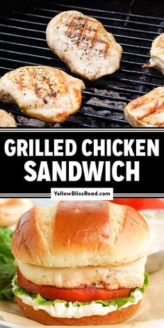 grilled chicken sandwich with lettuce and tomato on the side