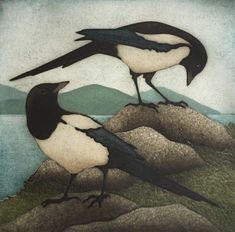 two black and white birds standing on top of a hill