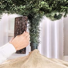 a person is placing pine cones on the top of a christmas tree to decorate it