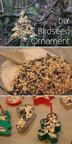 homemade bird seed ornaments in the shape of christmas trees