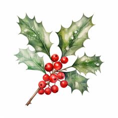 Christmas Holly Branches 10 High Quality Downloadable Jpgs - Etsy Holly Clipart, Christmas Wreath Clipart, Holly Decorations, Berry Plants, Watercolor Christmas Tree, Christmas Plants, 수채화 그림, Month Flowers, 3d Christmas