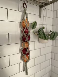 some fruit hanging from a rack on a wall next to a potted plant in a kitchen