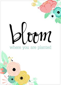 the words bloom where you are planted in black ink on a white background with colorful flowers