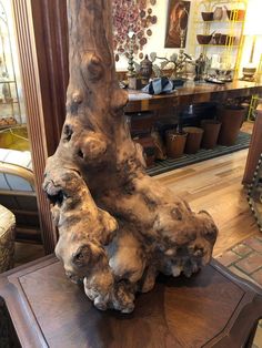 a large tree trunk sitting on top of a wooden table